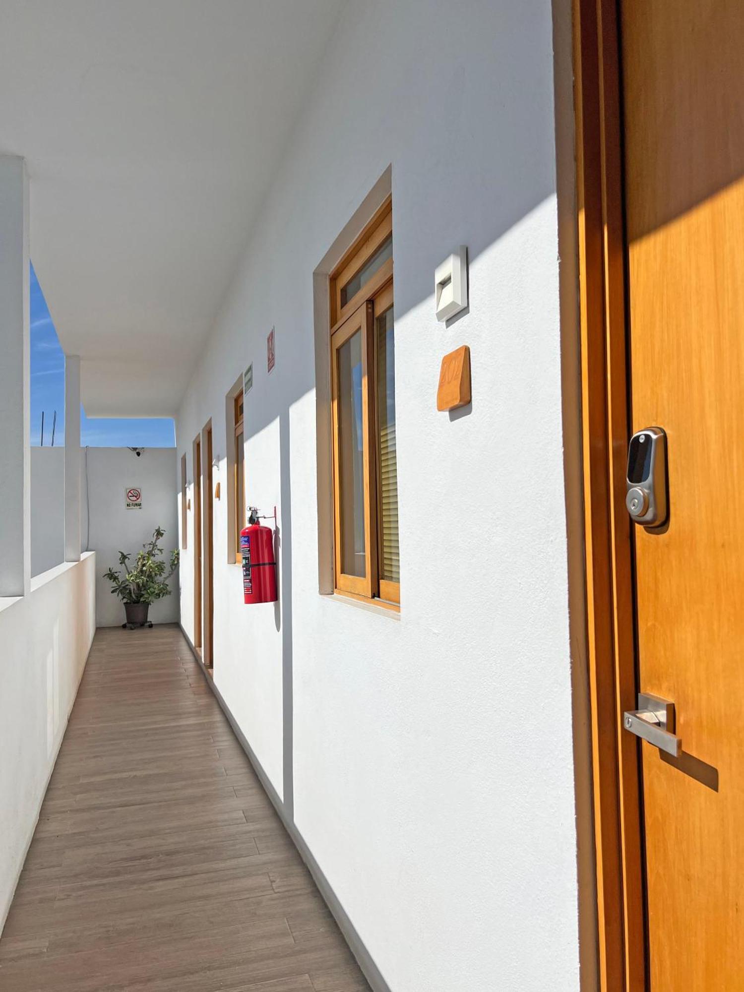 Casa Palo Verde Cabo San Lucas Eksteriør billede